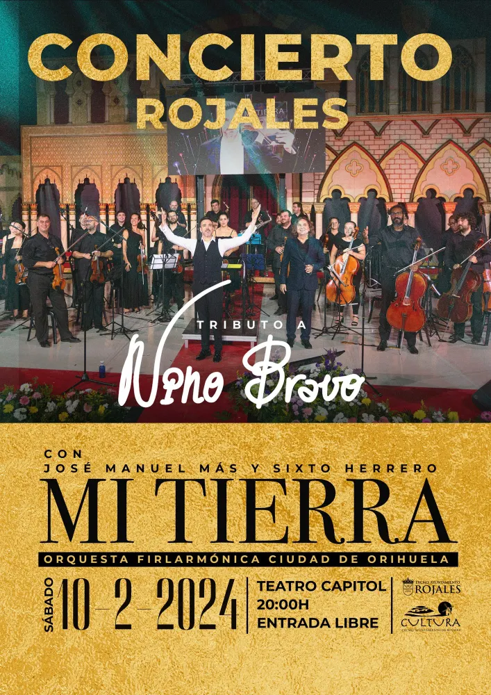 Carteles de conciertos — imagen 3